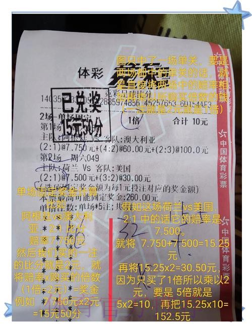 世界杯外围投注大全：热门选项参考集